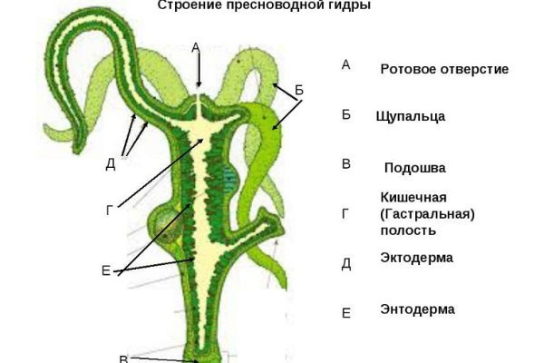 Кракен шеринг